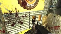 Call of Duty Custom Zombies - Farm Swamp - Teddy Trolls Part 2