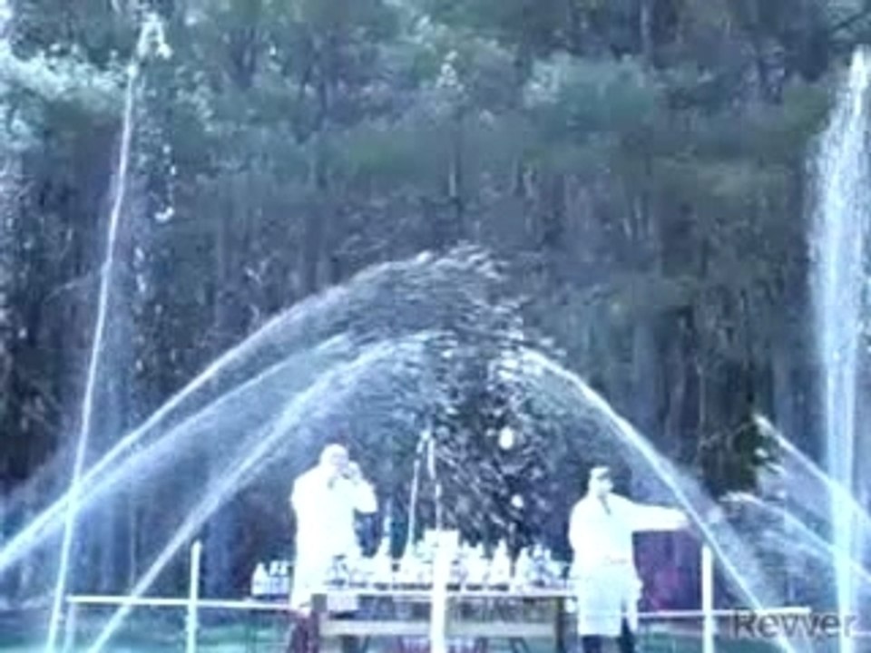 experience coca - mentos