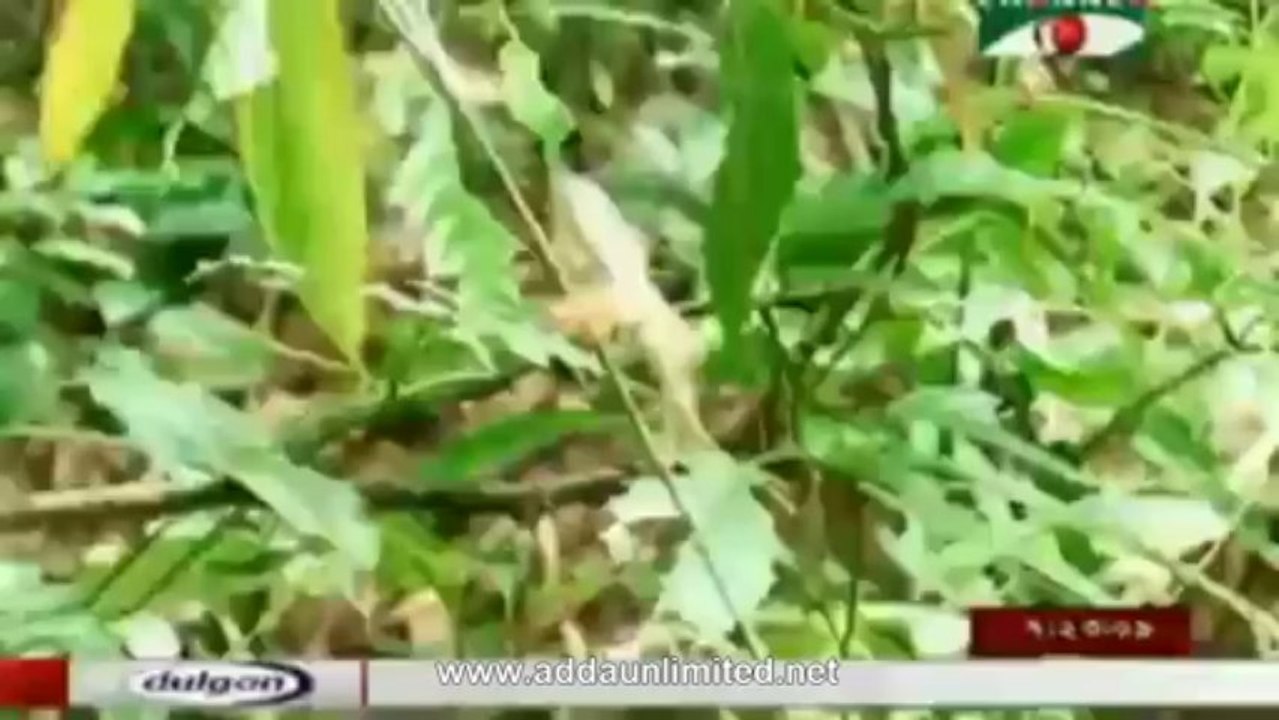 Channel i Morning News 29 Aug 2013(BD 7:00 AM)