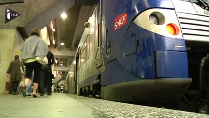 La fraude coûteuse pour la SNCF et la RATP