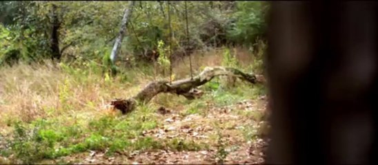 The Haunting In Connecticut 2 - Trailer