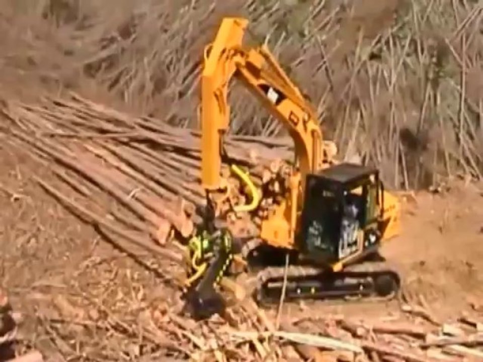 AFM 60 - Caterpillar