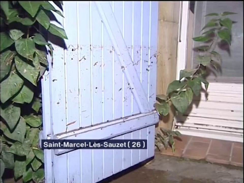 France 3 Lyon 2