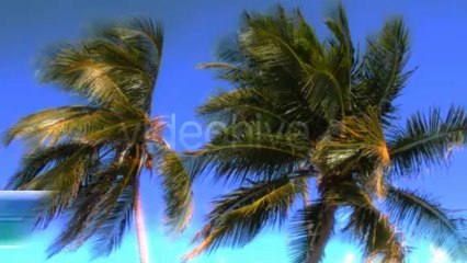 Summer Thirds - After Effects Template