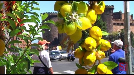 Napoli - I turisti dispensano consigli ai napoletani (28.08.13)