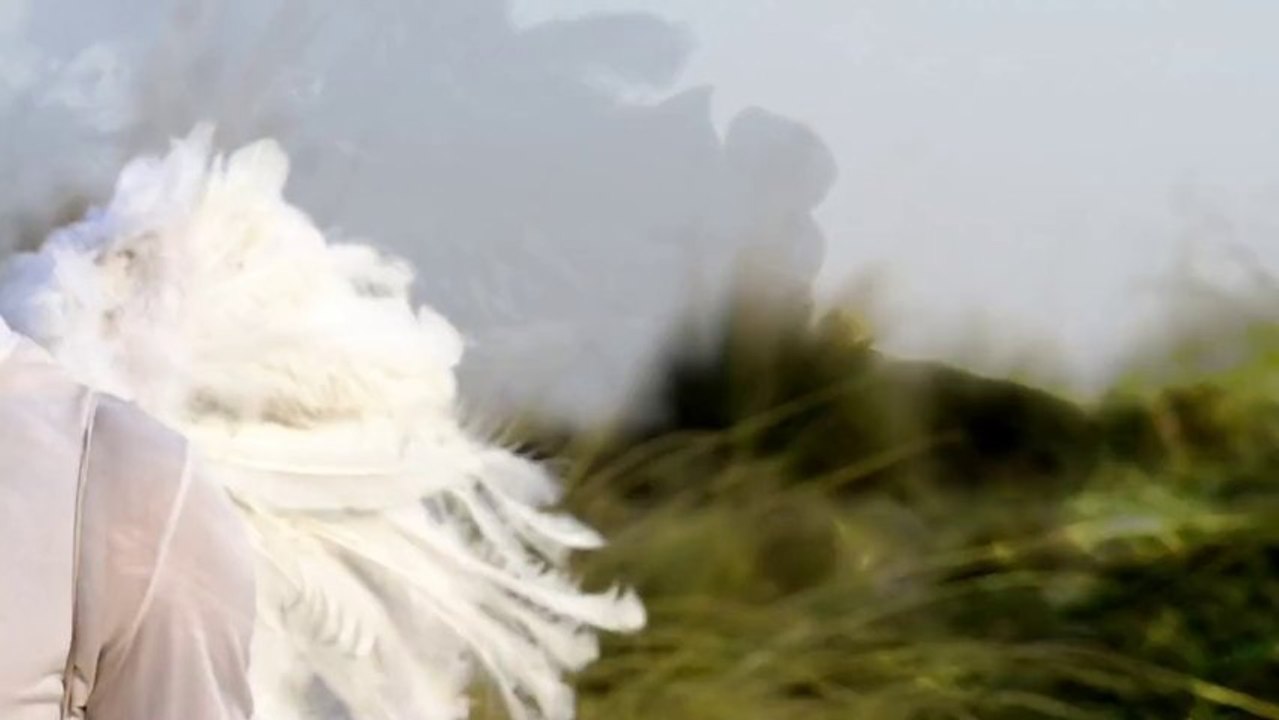 Redi Gul Teaser