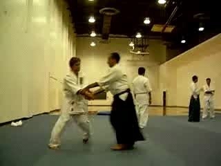 ryote dori-tenchi nage