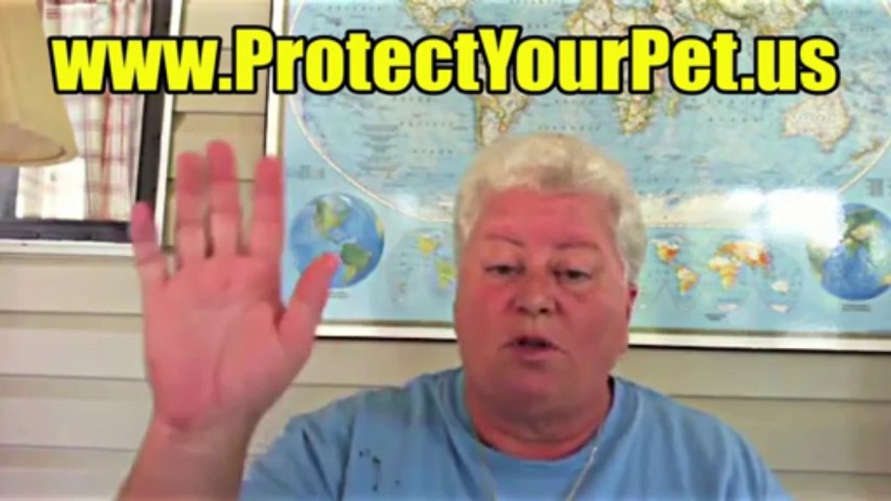 Pet Protector How To Kill Fleas With Pet protector
