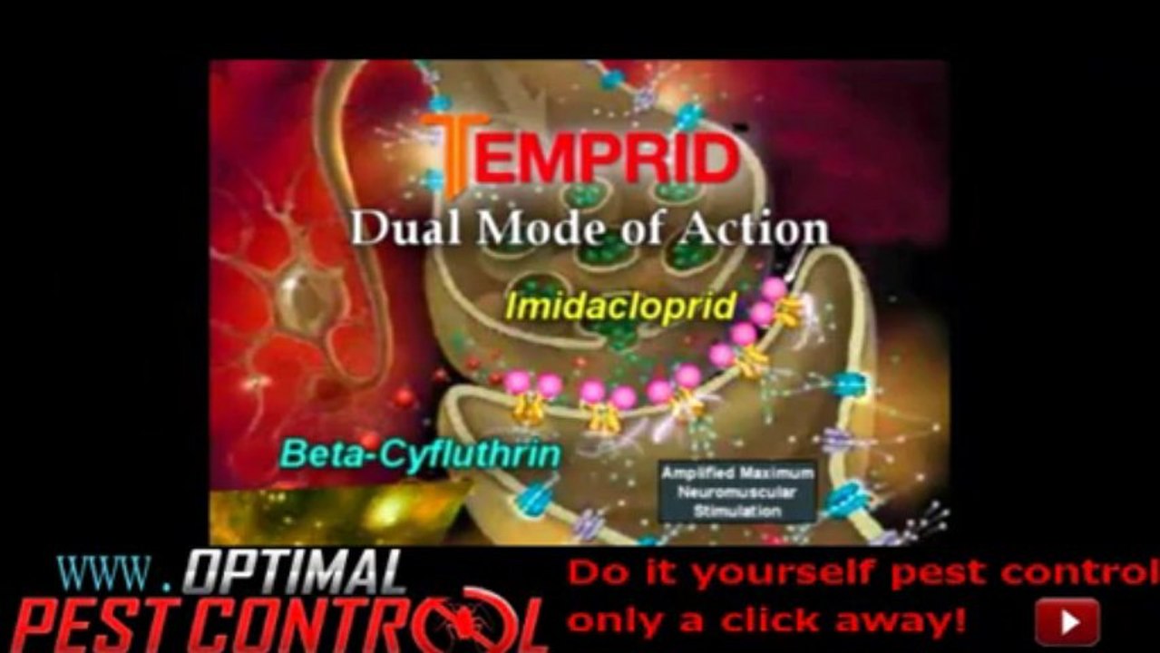 Temprid SC Introduction and Information