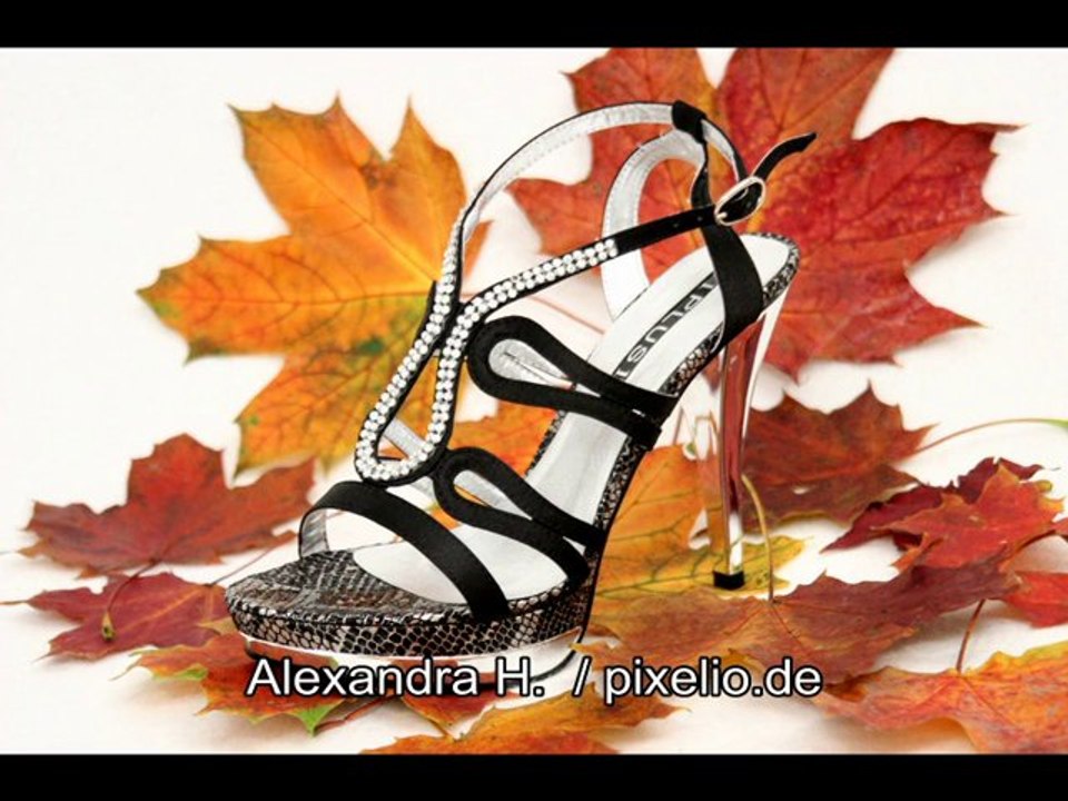 Fashion and Lifestyle 2013