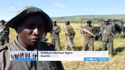 Sin ñus no hay Serengueti | Ideas globales