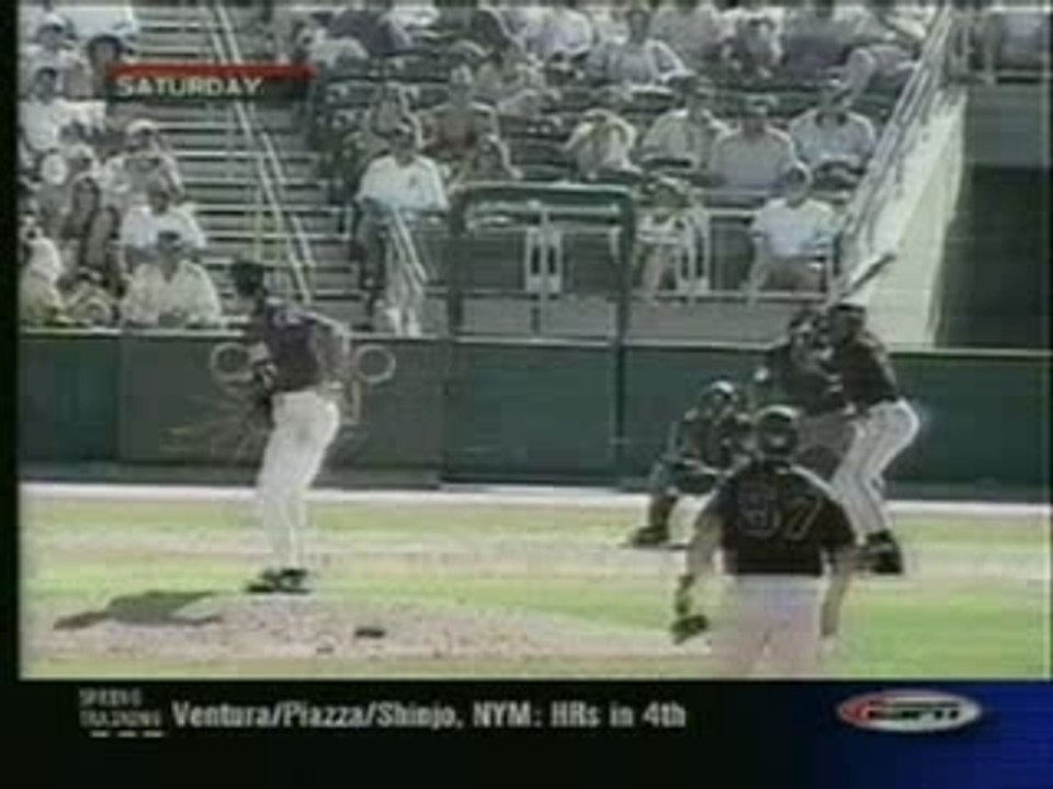BirdBaseball