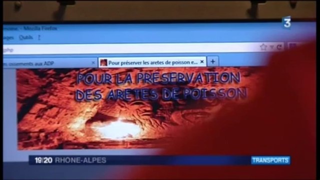 JT France 3 - 29/08/2013 - Les Arêtes de Poisson / le tunnel de croix-rousse