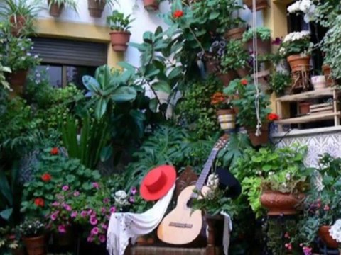 Sensiz saadet neymiş - yeni