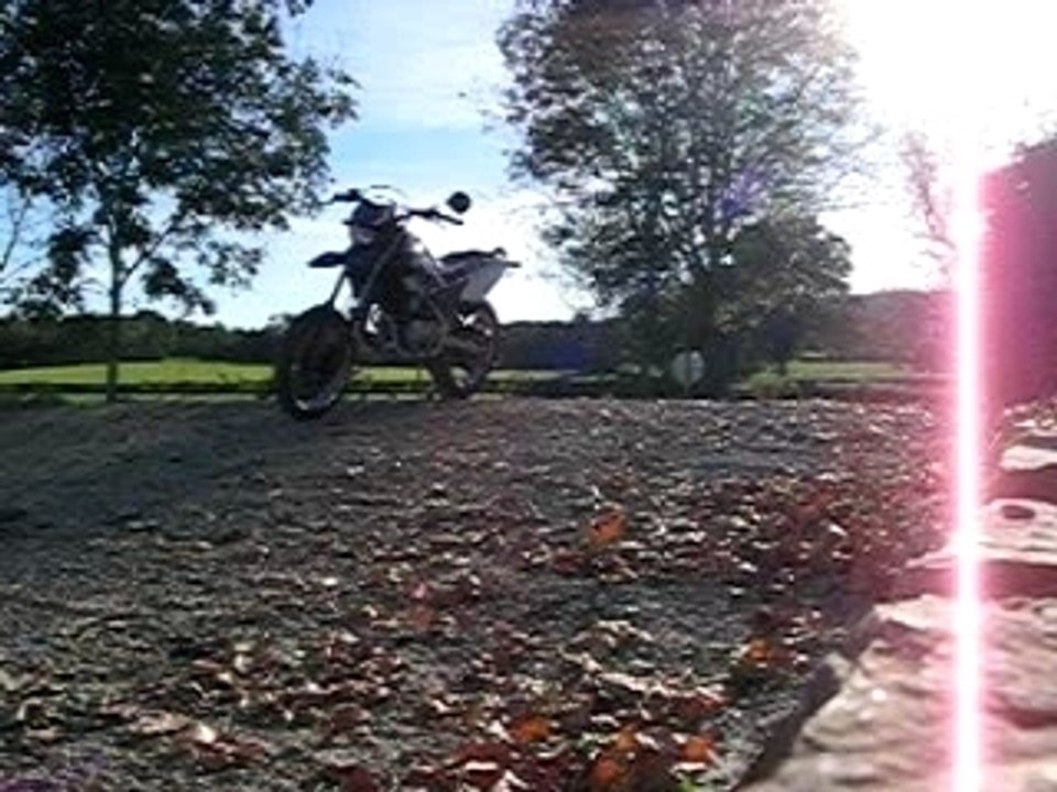 MVI_4269