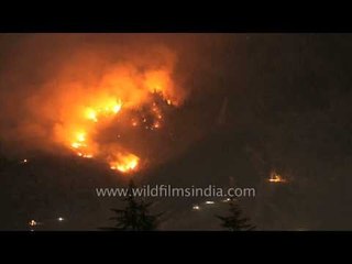 Fire in Manali forest - Time lapse
