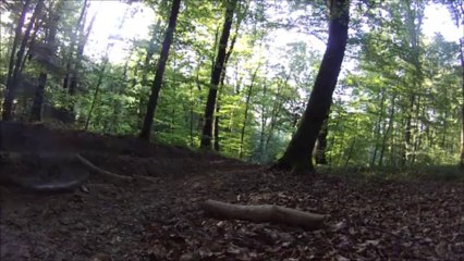 BMX race Summer edit