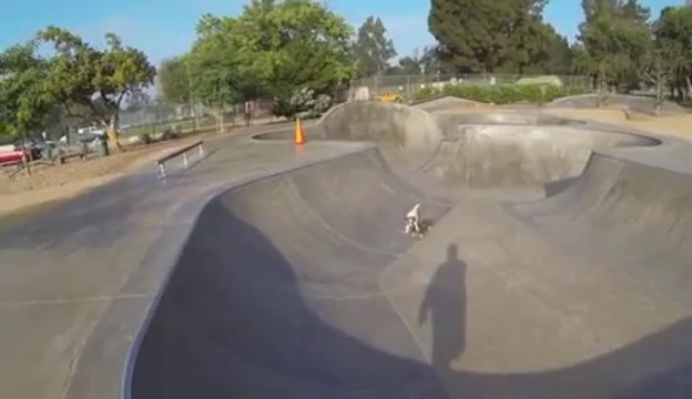 Un chien un skate et un skatepark