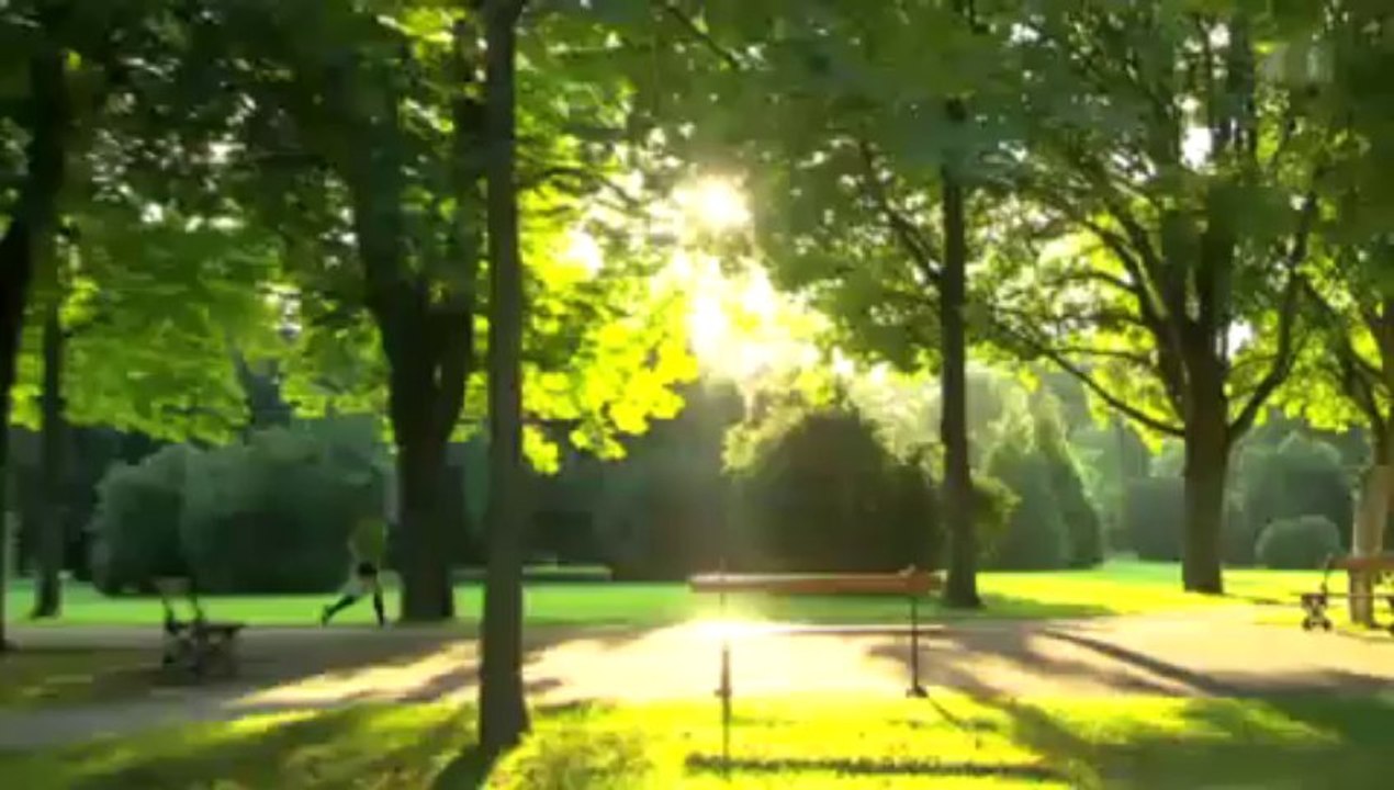 Einstein vom 29.08.2013