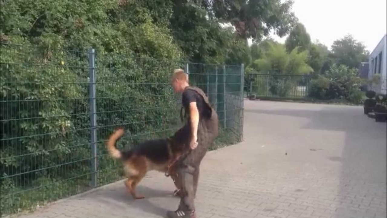 Mein Film