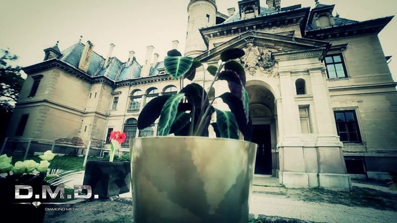 D.M.D. Luxury - Diamond Metal Design