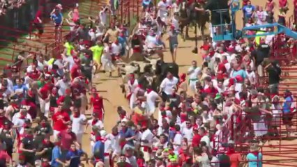 Spanish bull run comes to America