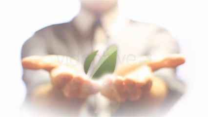 Professional Hands Reveal - After Effects Template