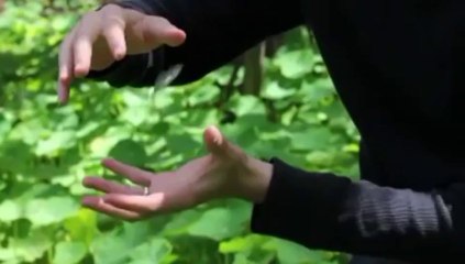 Monarch by Chris Ballinger - Magic Trick