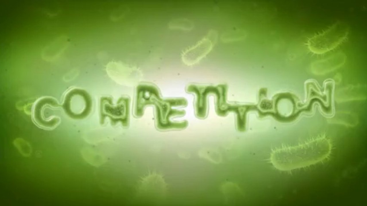 Microcosm Template - After Effects Template
