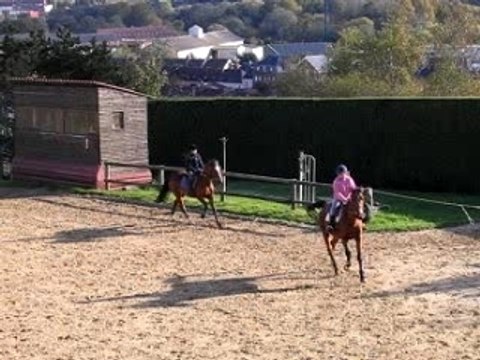 Détante au galop [Eclair et Trottinou]