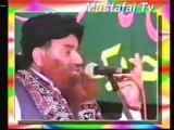 Milad un Nabi Ist June 2003 Karachi Mustafai Tehrik ( Allama Syed Riaz Husain Shah ) Mustafai TV.