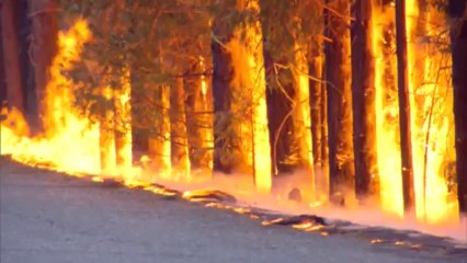 Wildfire spreads into Yosemite, before holiday weekend