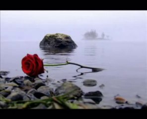 Dj Engin Akkaya & Mc Akikat - Nerdesin