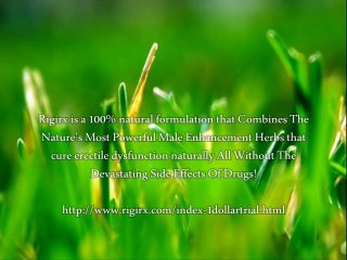 Jack Rabbit Four Pack