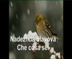 Nadezhda Slavova - Che cosa sei