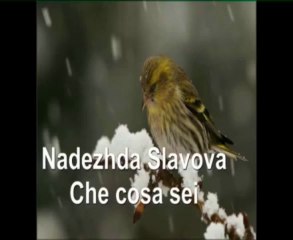 Nadezhda Slavova - Che cosa sei