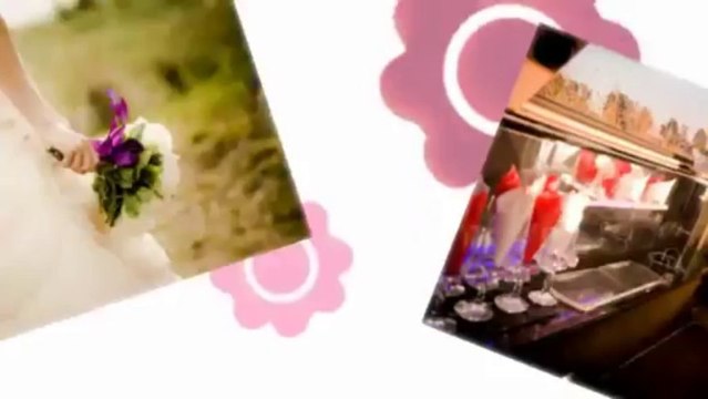 Miles Family Photography - (912) 382-0168