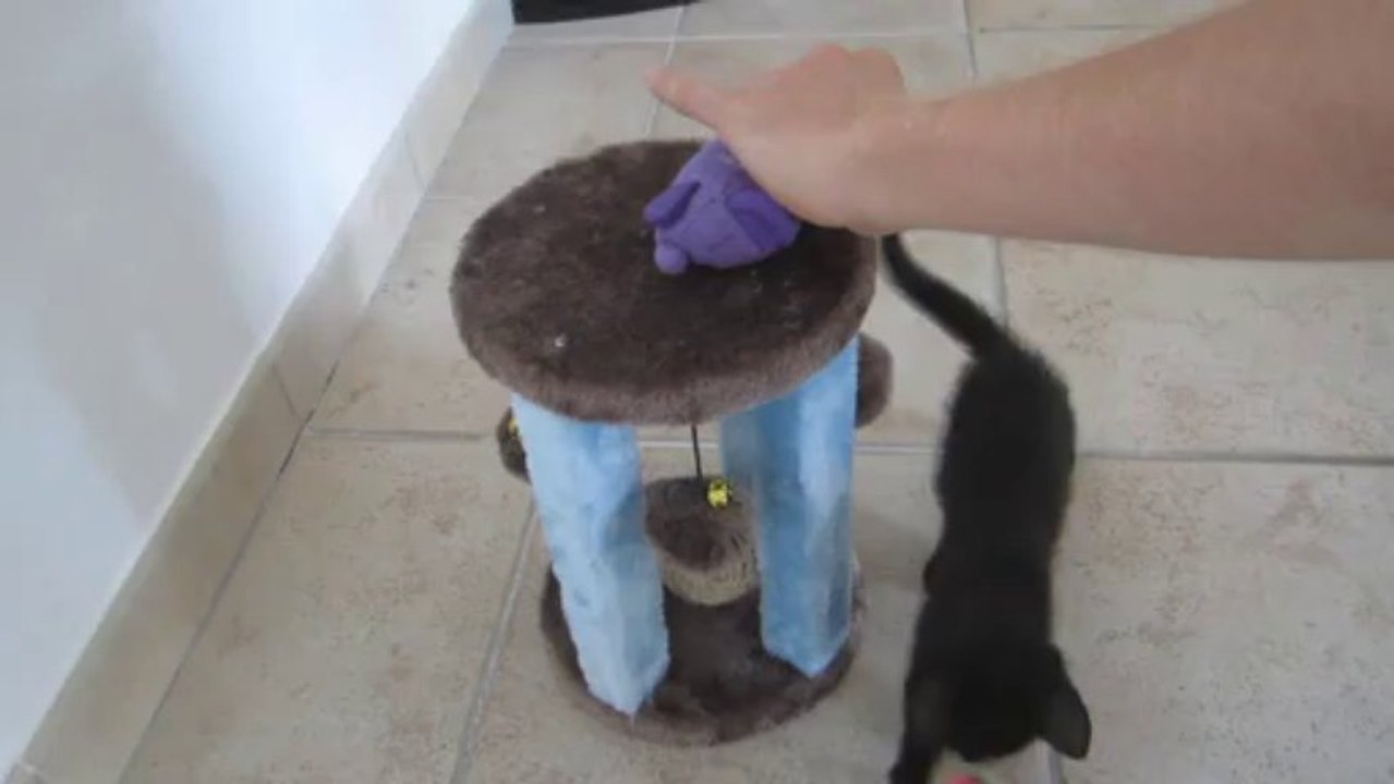Isis cabane à jeux
