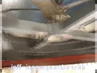 flake ice machine principle