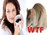 WTF One Cup Of Coffee Causes Cancer To Rats