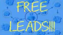 mlm email lead  | AUTOMATED system gets LOADS of free traffic every day...
