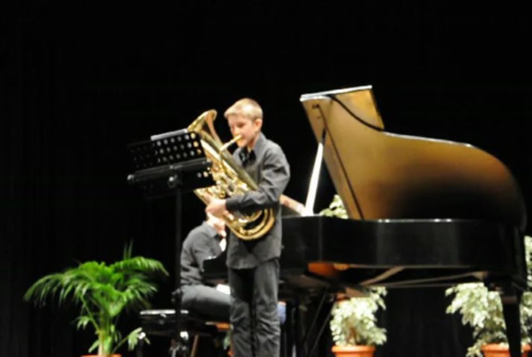 Concours artistique d'epinal 2013