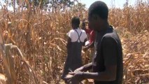 Zambia crops shortage raises concerns