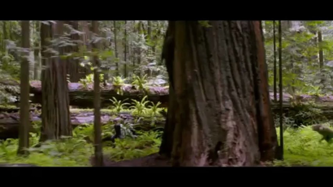 1000 Lat po Ziemi - Zwiastun PL (Official Trailer)