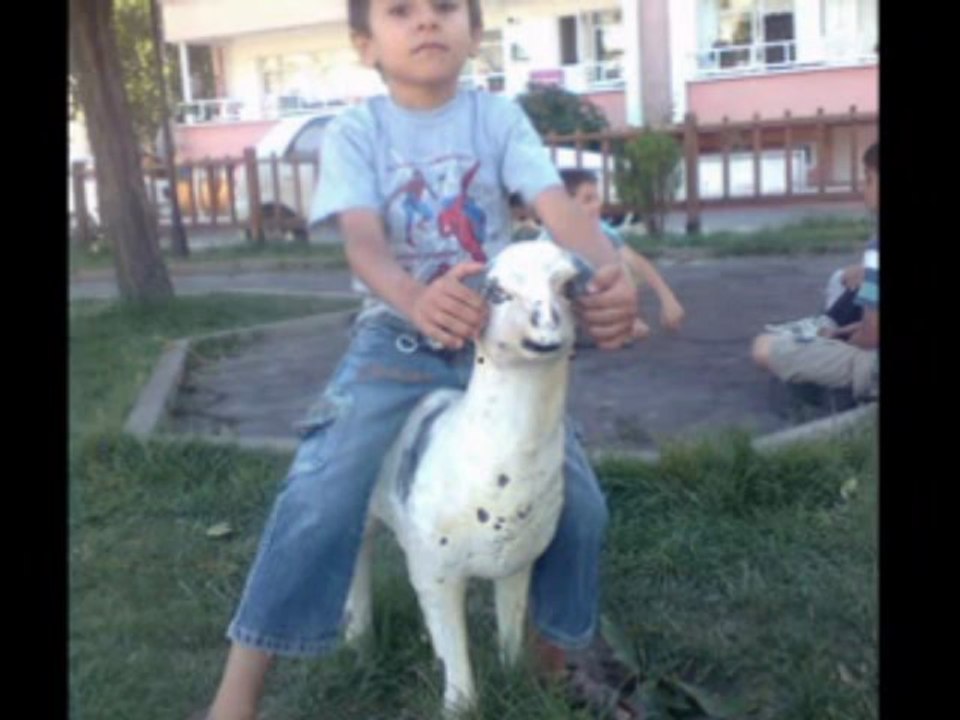 selocan