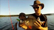 Roussillon Fishing - Pêche des carnassiers Brochet, Sandre, Silure, Perche, Black Bass, Truite