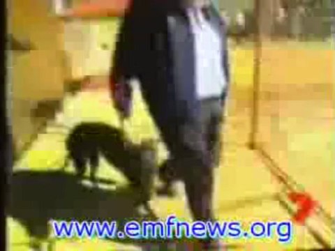 Cell Phone Tower Health Risks, Electromagnetic Radiation Protection