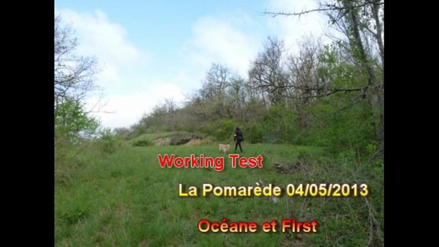 WT 2103 Pomarede Océane-First