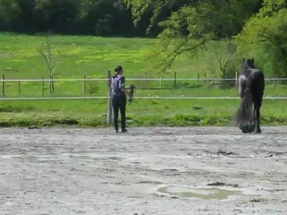 Stage éthologie Mai 2013 Domaine de la frisalys 03