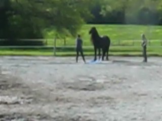 Stage éthologie Mai 2013 Domaine de la frisalys 05